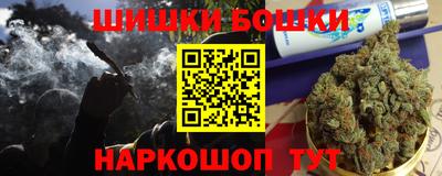МДПВ Лесосибирск