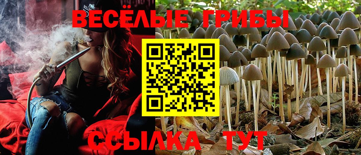 Галлюциногенные грибы MAGIC MUSHROOMS Черкесск