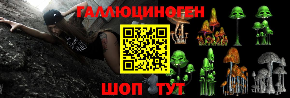 Черкесск  Галлюциногенные грибы MAGIC MUSHROOMS  Вход с VPN 